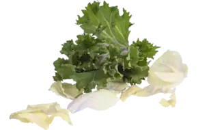 Sierkool blaadjes mix +-- 25st